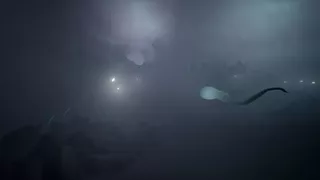 BeCum: A Sperm's Journey