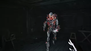 Pilgrim of Darkness