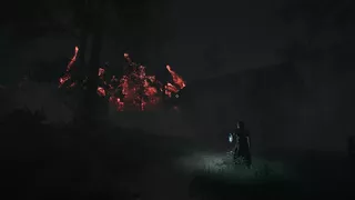 Pilgrim of Darkness