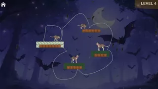 Save stray cats