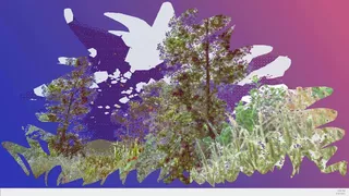 Desktop Forest