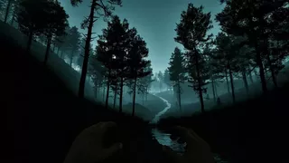 Dark Realms: Mysteries of Hoia Baciu Forest
