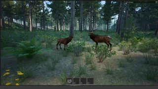 Liv: Nordic Survival