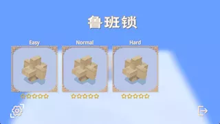 Burr Puzzle