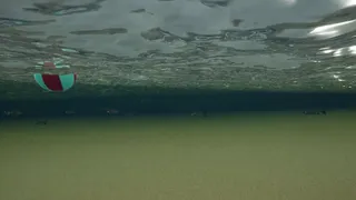 Скриншот 8 к игре King Crab