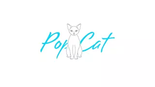 Pop Cat