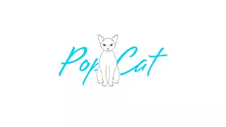 Pop Cat