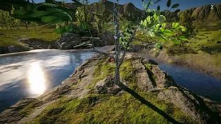The Apple Simulator 2