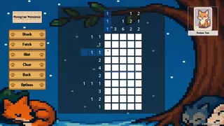 Nonogram Nonsense