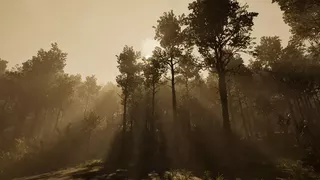 Withering Horrors