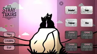 Stray Tekirs