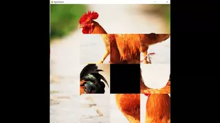 hgmGame-rooster