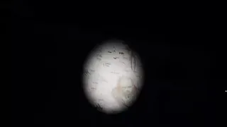 Скриншот 5 к игре Не подглядывай