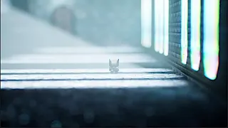 Скриншот 5 к игре Saqer's Paradox