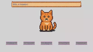 Happy Pet