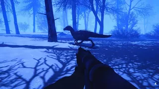 Primal Frost