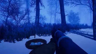 Primal Frost