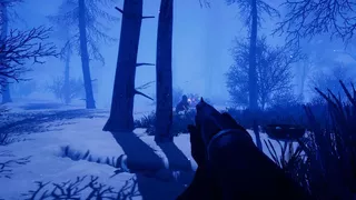 Primal Frost