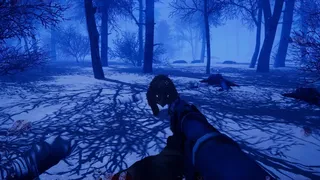 Скриншот 5 к игре Primal Frost