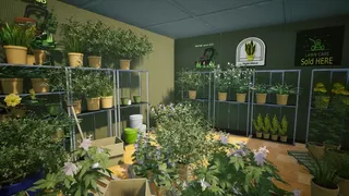 Sunny Blooms Garden Center