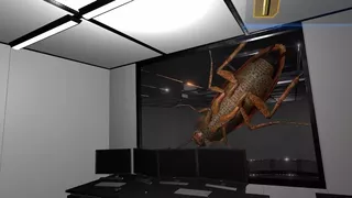 ゴキ's ROOM 2