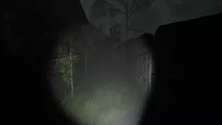 Need For Scream