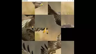 hgmGame-eagle