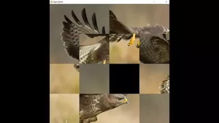 hgmGame-eagle