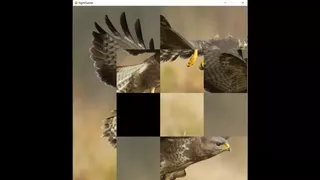 hgmGame-eagle