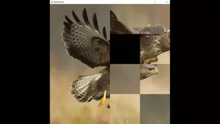 hgmGame-eagle