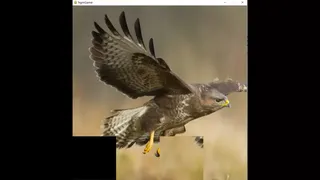 Скриншот 5 к игре hgmGame-eagle