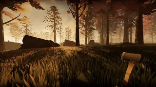 Dawn