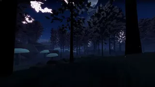 Dawn