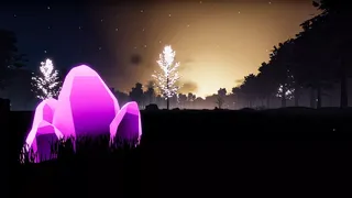Dawn