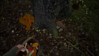 Скриншот 5 к игре Симулятор Грибника