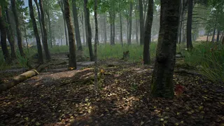 Скриншот 6 к игре Симулятор Грибника