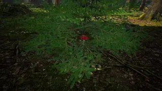 Скриншот 7 к игре Симулятор Грибника