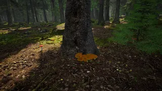 Скриншот 8 к игре Симулятор Грибника