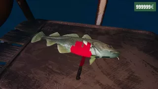 Loan Shark
