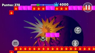 Borsiis Dash