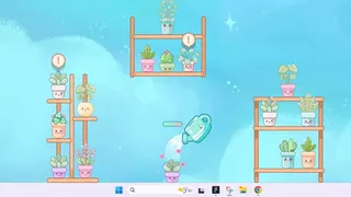 My Tiny Garden