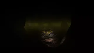 Скриншот 8 к игре Mine Of Madness