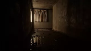 Paranormal Torment