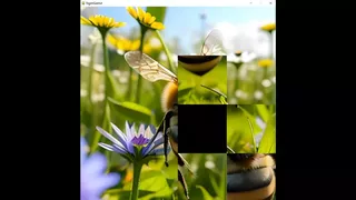 hgmGame-bee