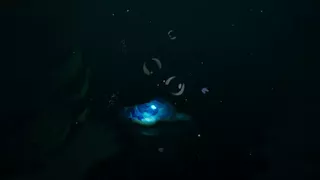 Voice of the Ocean