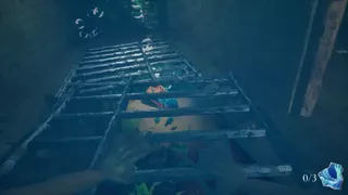 Voice of the Ocean