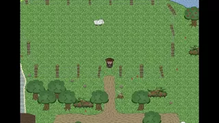 Lost Island