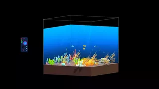 Aqua Corner