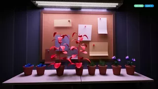 Dr Dreams Simulator