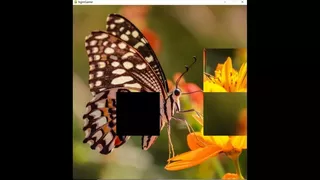 hgmGame-butterfly